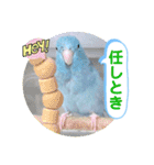 マメルリハ達20（個別スタンプ：2）