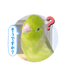 マメルリハ達20（個別スタンプ：5）