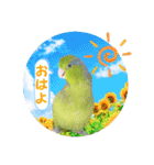 マメルリハ達20（個別スタンプ：9）