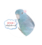 マメルリハ達20（個別スタンプ：18）