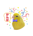 マメルリハ達20（個別スタンプ：23）