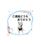 Cocoスタンプ2024夏（個別スタンプ：8）