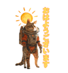 宇宙飛行ねこ日常使いスタンプ（個別スタンプ：2）