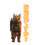 宇宙飛行ねこ日常使いスタンプ（個別スタンプ：4）