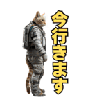 宇宙飛行ねこ日常使いスタンプ（個別スタンプ：11）