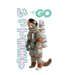 宇宙飛行ねこ日常使いスタンプ（個別スタンプ：14）