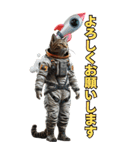 宇宙飛行ねこ日常使いスタンプ（個別スタンプ：19）