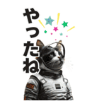 宇宙飛行ねこ日常使いスタンプ（個別スタンプ：23）
