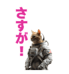 宇宙飛行ねこ日常使いスタンプ（個別スタンプ：25）