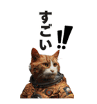 宇宙飛行ねこ日常使いスタンプ（個別スタンプ：27）