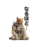 宇宙飛行ねこ日常使いスタンプ（個別スタンプ：30）