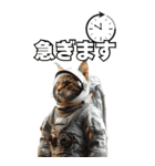 宇宙飛行ねこ日常使いスタンプ（個別スタンプ：33）