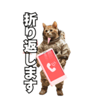 宇宙飛行ねこ日常使いスタンプ（個別スタンプ：38）