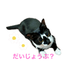いごちゃんのごあいさつ2（個別スタンプ：2）