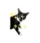 いごちゃんのごあいさつ2（個別スタンプ：3）