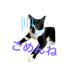 いごちゃんのごあいさつ2（個別スタンプ：7）