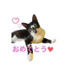 いごちゃんのごあいさつ2（個別スタンプ：8）