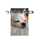 428(6)（個別スタンプ：19）