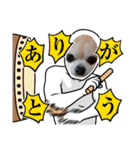 428(6)（個別スタンプ：23）