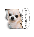 428(6)（個別スタンプ：31）