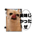 428(6)（個別スタンプ：36）