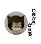 くりぎんものおう（個別スタンプ：4）