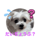 めりる20240812（個別スタンプ：5）