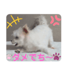 めりる20240812（個別スタンプ：8）