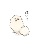 ポメラニアンのもんじゃスタンプ（個別スタンプ：5）