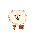 ポメラニアンのもんじゃスタンプ（個別スタンプ：7）
