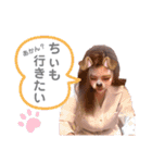 ちぃのん。2（個別スタンプ：19）