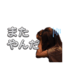 ちぃのん。2（個別スタンプ：22）