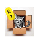 しらしんけん日常で使える猫画像のスタンプ（個別スタンプ：12）