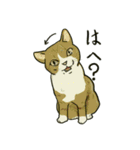どこかで見た猫さんとナニカ（個別スタンプ：1）
