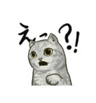 どこかで見た猫さんとナニカ（個別スタンプ：15）
