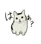 どこかで見た猫さんとナニカ（個別スタンプ：17）