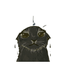 どこかで見た猫さんとナニカ（個別スタンプ：19）