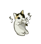 どこかで見た猫さんとナニカ（個別スタンプ：23）