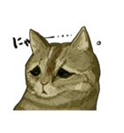 どこかで見た猫さんとナニカ（個別スタンプ：26）