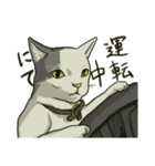 どこかで見た猫さんとナニカ（個別スタンプ：34）