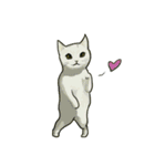 どこかで見た猫さんとナニカ（個別スタンプ：38）