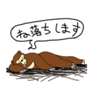 くまったくまたち2（個別スタンプ：18）