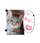 みっちゃんが今日も行く♪♪♪（個別スタンプ：12）