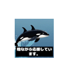 【敬語】大人の気遣い♡ドットシャチ（個別スタンプ：10）