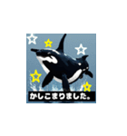 【敬語】大人の気遣い♡ドットシャチ（個別スタンプ：12）