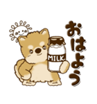 柴犬・茶色い犬【茶色系】よく使う言葉（個別スタンプ：1）