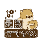 柴犬・茶色い犬【茶色系】よく使う言葉（個別スタンプ：5）