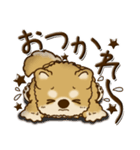 柴犬・茶色い犬【茶色系】よく使う言葉（個別スタンプ：9）