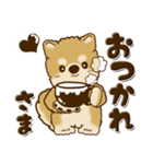 柴犬・茶色い犬【茶色系】よく使う言葉（個別スタンプ：10）