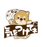 柴犬・茶色い犬【茶色系】よく使う言葉（個別スタンプ：13）